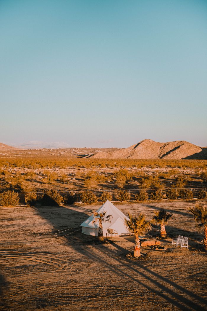 services-03 A picturesque desert campsite featuring a tent surrounded by palm trees under a clear sunset sky.